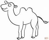 Camel Camello Camellos Bactrian Entitlementtrap sketch template