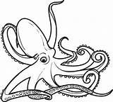 Octopus Coloring Gurita Mewarnai Kraken Gambar Laut Binatang Putri Putra Lucu Coloringbay sketch template