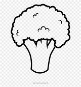 Broccoli Colouring sketch template