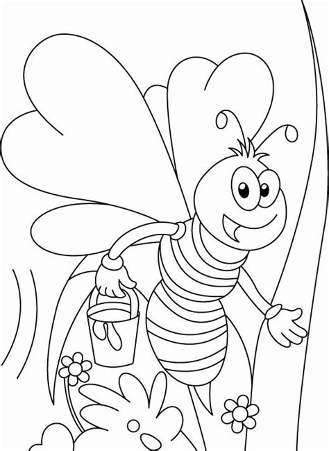 honey bee coloring page lovely   images  bees  pinterest