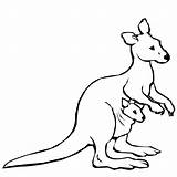 Kangaroo Coloring Baby Pages Drawing Clipart Colour Australian Cute Printable Wallpaper Its Tree Color Holds Kid Animals Clipartmag Print Use sketch template