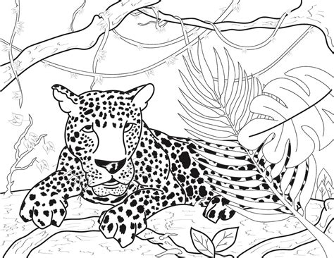 printable animal coloring page jaguar digital print vector etsy