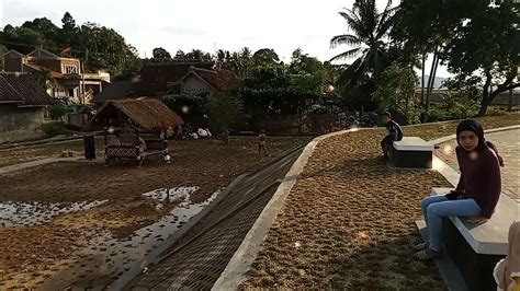 Proyek Pengaman Pantai Kalianda Desa Maja Lampung Selatan 2021 Youtube