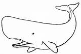 Whale Drawing Sperm Line Sketch Coloring Paintingvalley sketch template