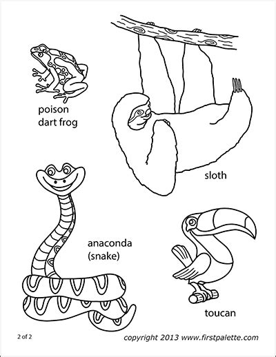 rainforest animals printables  kids