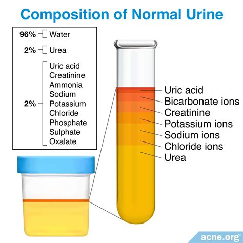 urine therapy  acne acneorg