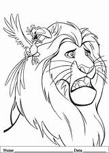 Regele Leu Colorat Planse Si Mufasa sketch template