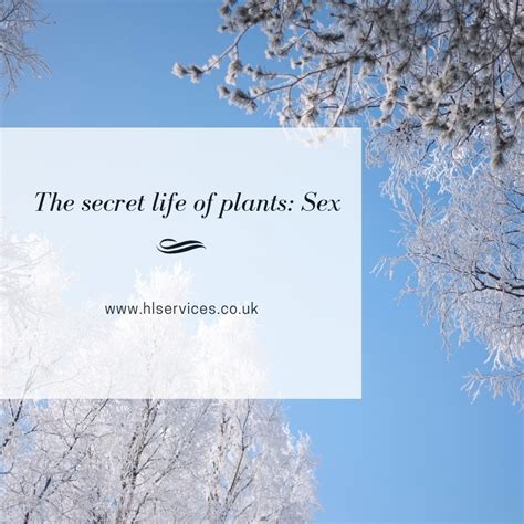 The Secret Life Of Plants Sex How Does It Really Work