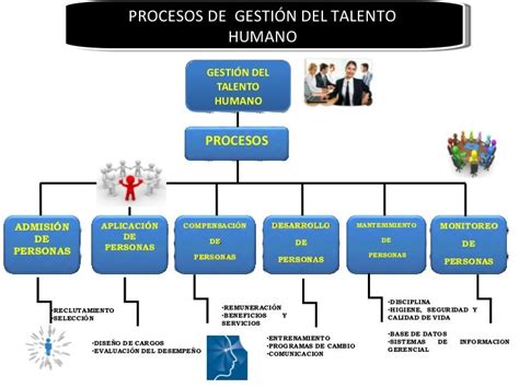 gestión del talento humano procesos de la gestión del talento humano