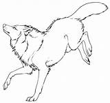 Wolf Lineart Drawings Deviantart Drawing Wolves Kipine Dog Bases Favourites Add Use sketch template