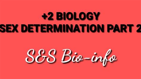 2 Biology Sex Determination Part 2 Youtube