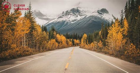 Off The Beaten Path Unique Things To Do In Alberta [2024 ]