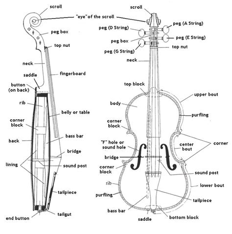 images  parts   violin  pinterest english violin parts  violin bow