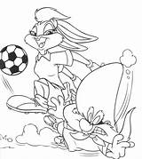 Lola Looney Tunes Tudodesenhos sketch template