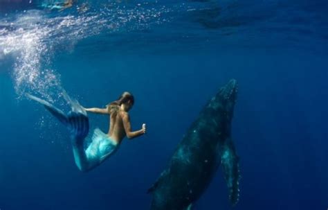 Hannah Fraser Poses As A Mermaid In Dazzling Underwater Photos Metro News