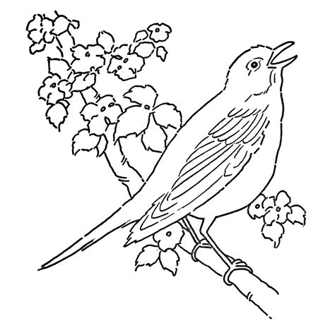 art coloring page bird  blossoms  graphics fairy