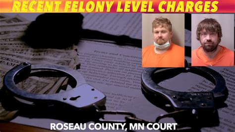 Recent Felony Level Charges In Roseau County Court Inewz