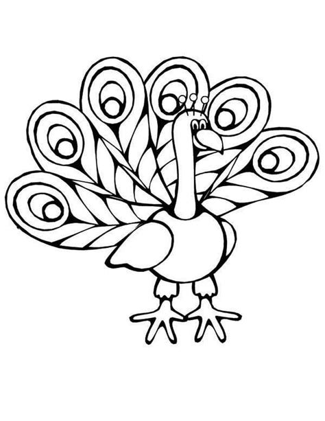 simple peacock coloring pages peacock coloring pages coloring pages