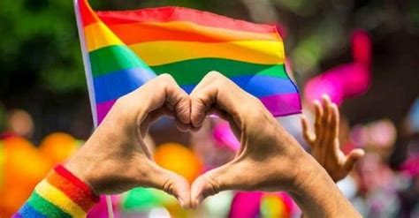 El Día Que La Homosexualidad Dejó De Ser Una Enfermedad Primera Edición