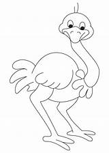 Ostrich Coloring Pages Asian Kids Preschool Color Printable Colouring Drawing Animals Cartoon Bestcoloringpages Worksheets Animal Letter Draw Line Drawings Crafts sketch template