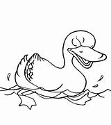 Canard Pato Nadando Dibujo Coloriage Anatra Nuota Patos Dessins Categorías sketch template