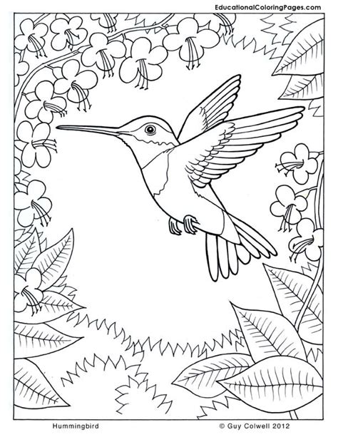 nature coloring pages animal coloring pages  kids