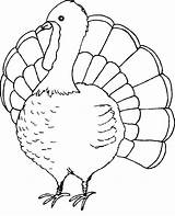 Coloring Turkey Pages Cute sketch template
