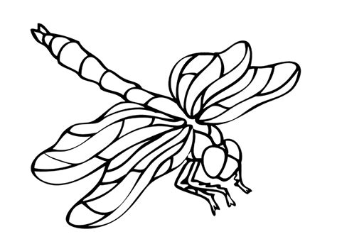 dragonflies insects kids coloring pages