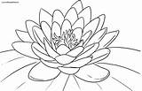 Lotus Coloring Pages Flower Getcolorings Color sketch template