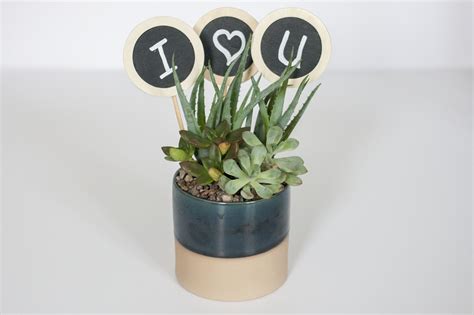 diy potted plant toppers dream green diy