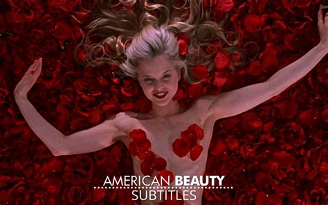 american beauty  english subtitles  subtitles srt