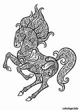 Horse Coloring Pages Adult Zentangle Animal Printable Head Cheval Vector Stock Ornate Hand Coloriage Adulte Doodle Vectors Color Book Template sketch template