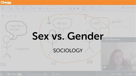 sex vs gender sociology chegg tutors youtube