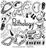 Pathology Biology Clipart Pathogen Germ Doodle Calligraphy Handwriting Drawing Icons Bacteria Disease Vector Fungus Background Virus Amoeba Such Human General sketch template