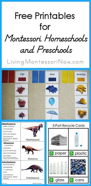 printables  montessori homeschools  preschools montessori