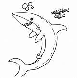Shark Coloring Pages Happy sketch template