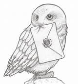 Harry Hogwarts Hedwig sketch template