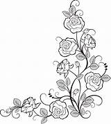Roses Pyrography Drawing Choose Board Draw Flowers Pages sketch template