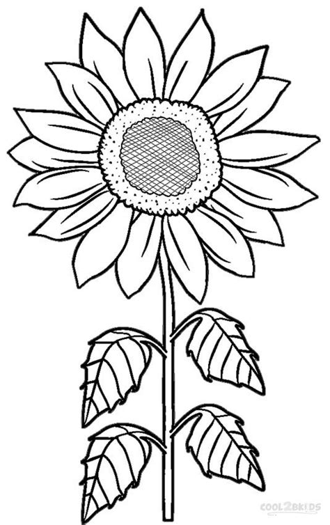 printable sunflower coloring pages  kids coolbkids coloring