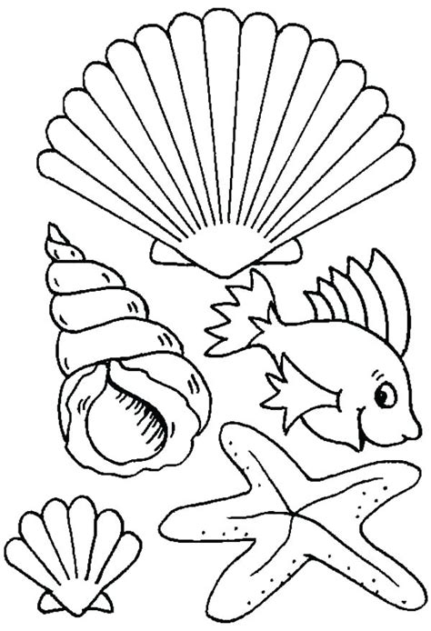 shell coloring pages  getdrawings
