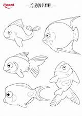 Poisson Colorier Poissons Maped Creatives sketch template