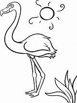 Flamingo Coloring Pages Pink Drawing Print Simple Flamingos Cartoon Birds Color Printable Getdrawings Template Cool Simply Colorings Chickadee Recommended sketch template