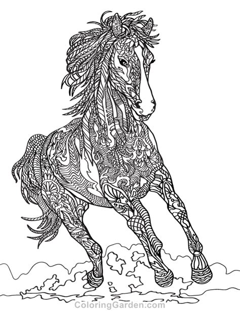 horse coloring pages  adults  coloring pages  kids coloring
