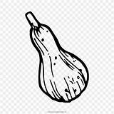 Gourd Line sketch template