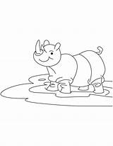 Coloring Rhinoceros Baby sketch template