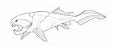 Dunkleosteus Fossil Fish sketch template