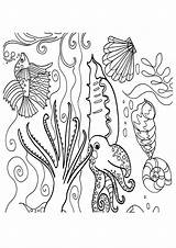 Ausmalbilder Koralle Ausmalbild Letzte Q2 sketch template