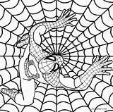 Spiderman Coloring Pages Baby Getcolorings Kids sketch template