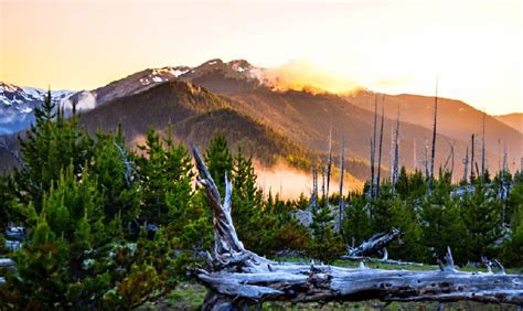top rated campgrounds  olympic national park planetware