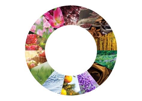 explore michael edwards fragrance wheel discover